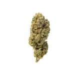 Grapefruit Superstar