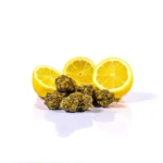 hhc blüten kaufen deutschland