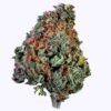 cali weed kaufen