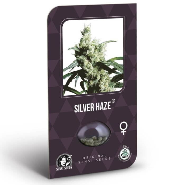 silver haze samen